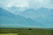 wind sock